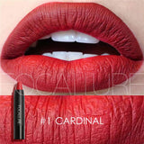 Long Lasting Cosmetics Lip Liquid Pencil Matte Lipstick Lip Gloss Makeup 5035