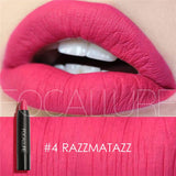 Long Lasting Cosmetics Lip Liquid Pencil Matte Lipstick Lip Gloss Makeup 5035